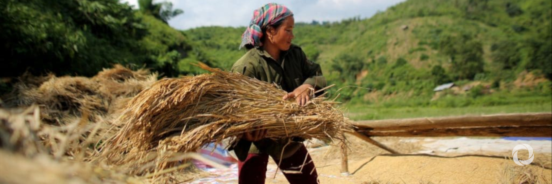 Major new project to use nature-based solutions to help Laos adapt to climate change