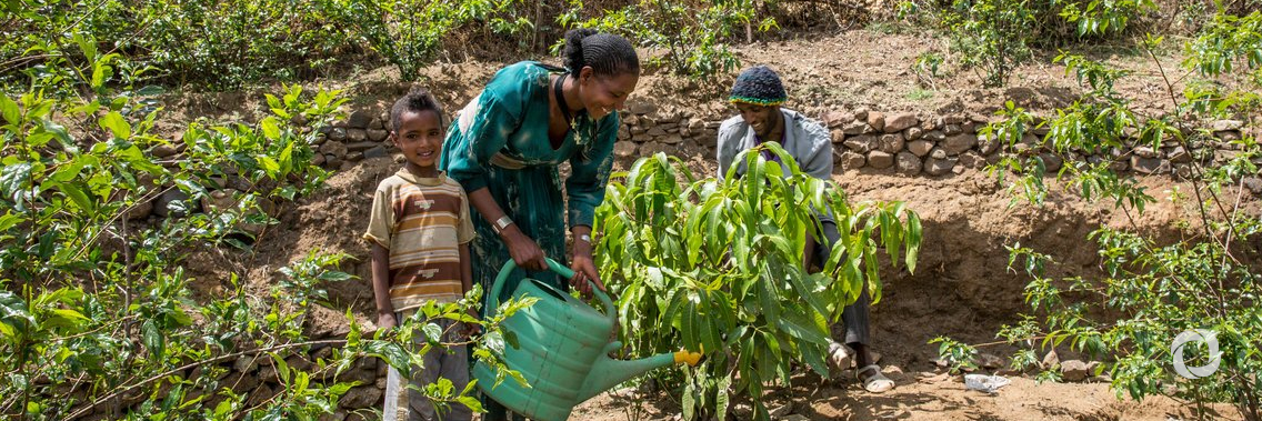 Ethiopia and IFAD to help families adapt to climate shocks in new multi-million dollar project