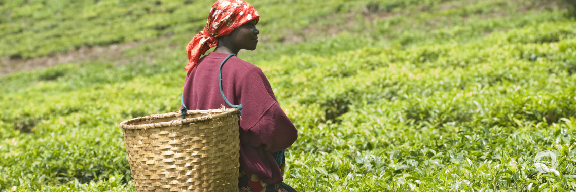 Celebrating South-South Cooperation, innovative partnerships for tackling food insecurity and poverty Celebrating South-South Cooperation, innovative partnerships for tackling food insecurity and poverty