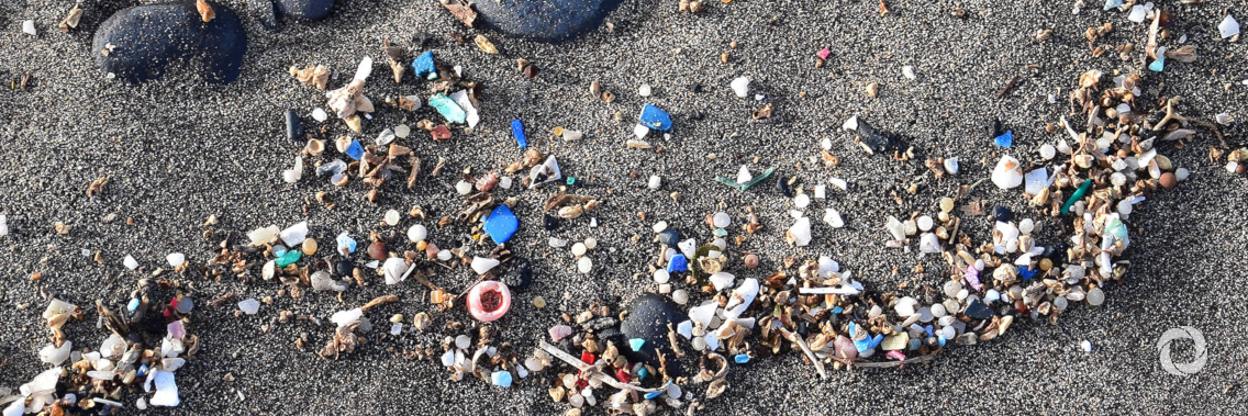 Microplastics, microbeads and single-use plastics poisoning sea life and affecting humans, says UN Environment Microplastics, microbeads and single-use plastics poisoning sea life and affecting humans, says UN Environment
