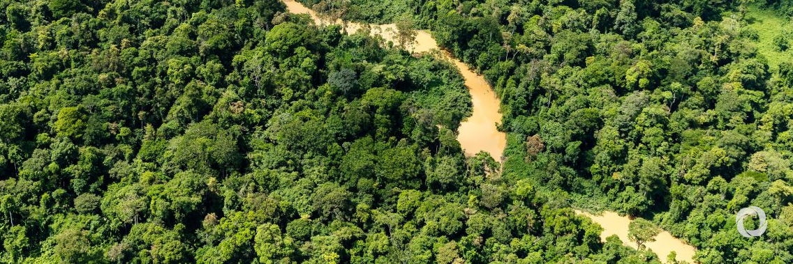 Green Climate Fund approves REDD+ emission reductions in Paraguay for a value of USD 72.5 million for keeping its forests standing Green Climate Fund approves REDD+ emission reductions in Paraguay for a value of USD 72.5 million for keeping its forests standing