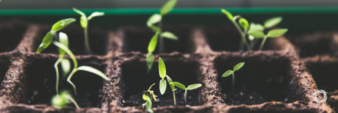 IsDB partners with Japan’s Government Pension Investment Fund (GPIF) for advancing Sustainable and Green Sukuk markets IsDB partners with Japan’s Government Pension Investment Fund (GPIF) for advancing Sustainable and Green Sukuk markets