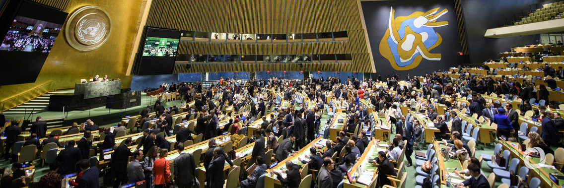 UNRWA appeals for financial and political support at the General Assembly’s Fourth Committee UNRWA appeals for financial and political support at the General Assembly’s Fourth Committee