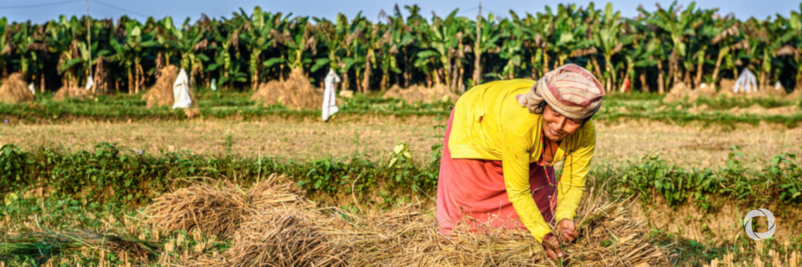 ADB loan to help develop agriculture, improve food safety in Nepal