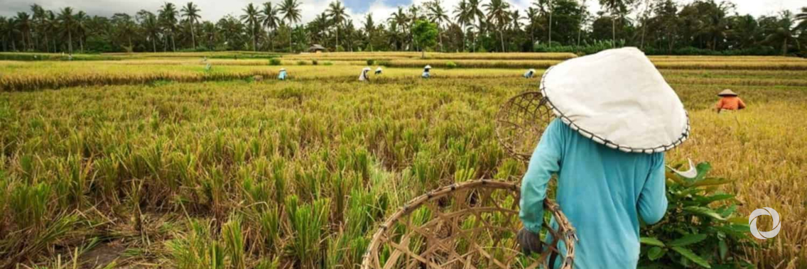 Global treaty critical for saving disappearing plants amid climate change Global treaty critical for saving disappearing plants amid climate change