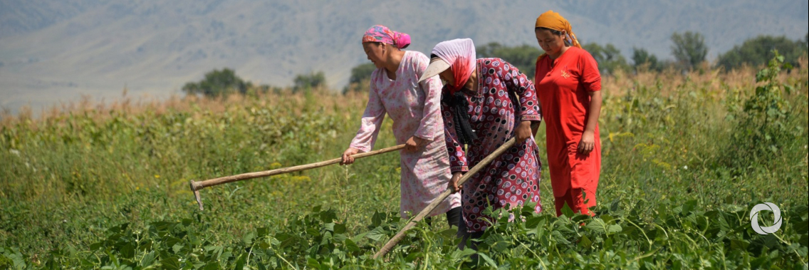Green Climate Fund approves programmes to fight climate change in Chile, Kyrgyzstan and Nepal Green Climate Fund approves programmes to fight climate change in Chile, Kyrgyzstan and Nepal