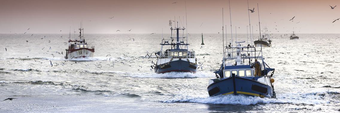 Ensuring fishers’ safety while sustainably managing the world’s aquatic resources