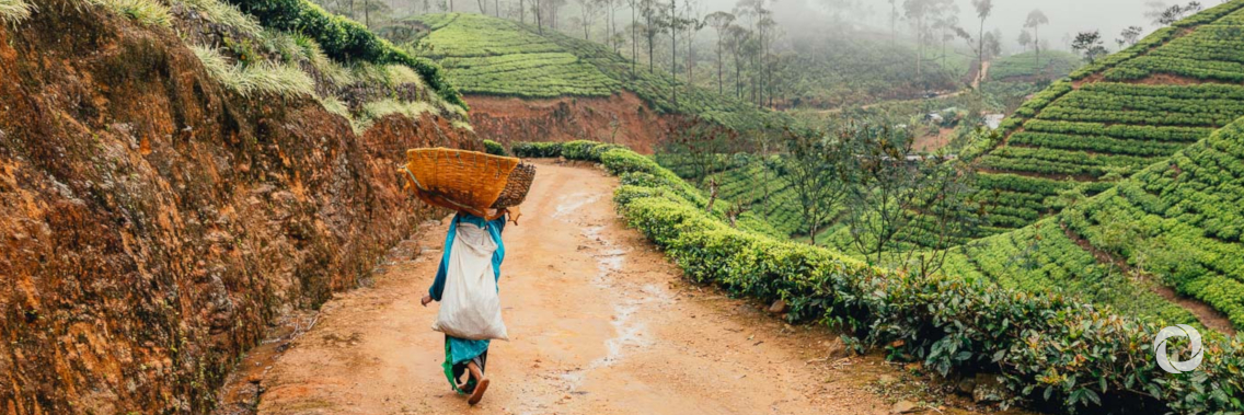 ADB provides further financing for rural road connectivity program in Sri Lanka ADB provides further financing for rural road connectivity program in Sri Lanka