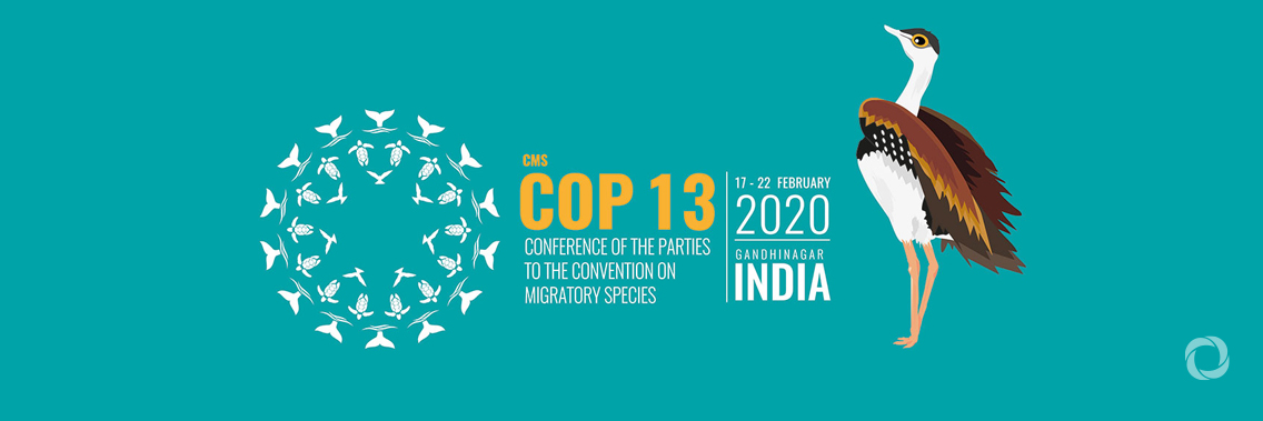 Thirteenth Meeting of the Conference of the Parties to the Convention on the Conservation of Migratory Species of Wild Animals (CMS COP13) Thirteenth Meeting of the Conference of the Parties to the Convention on the Conservation of Migratory Species of Wild Animals (CMS COP13)