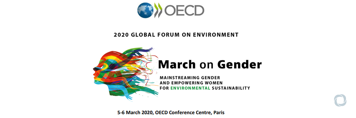 2020 Global Forum on Environment: March on Gender 2020 Global Forum on Environment: March on Gender