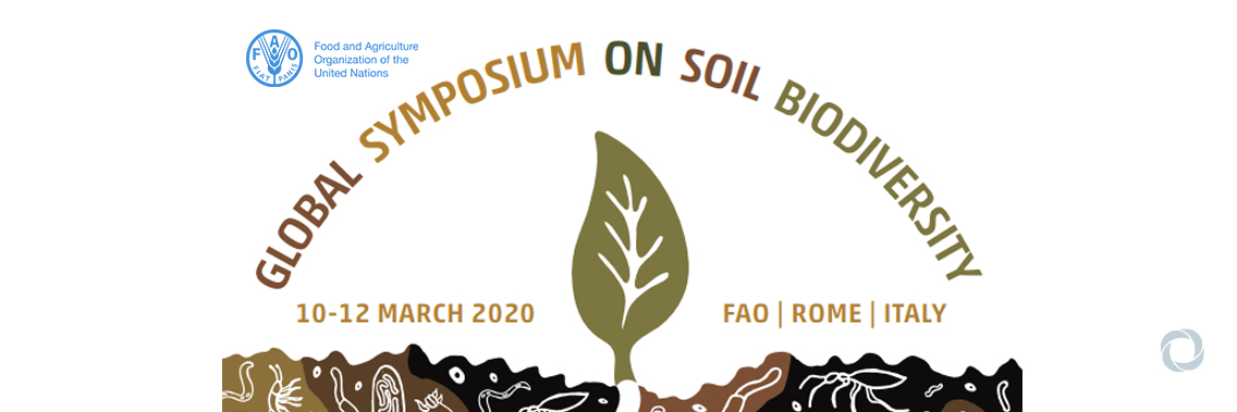 Global Symposium on Soil Biodiversity (GSOBI20) Global Symposium on Soil Biodiversity (GSOBI20)