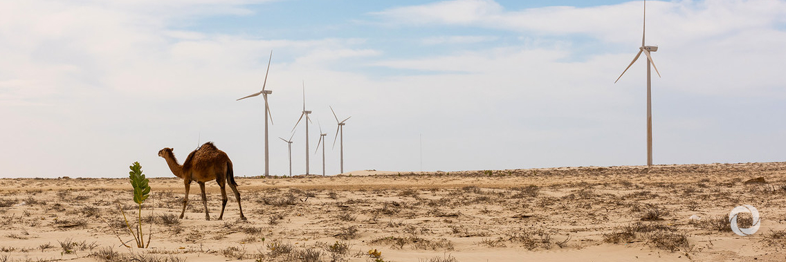 Finance and innovation critical to achieving climate goal Finance and innovation critical to achieving climate goal