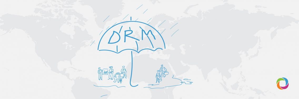 Experts’ Opinion| Disaster Risk Reduction: Definitions. Management. Examples. Involvement.