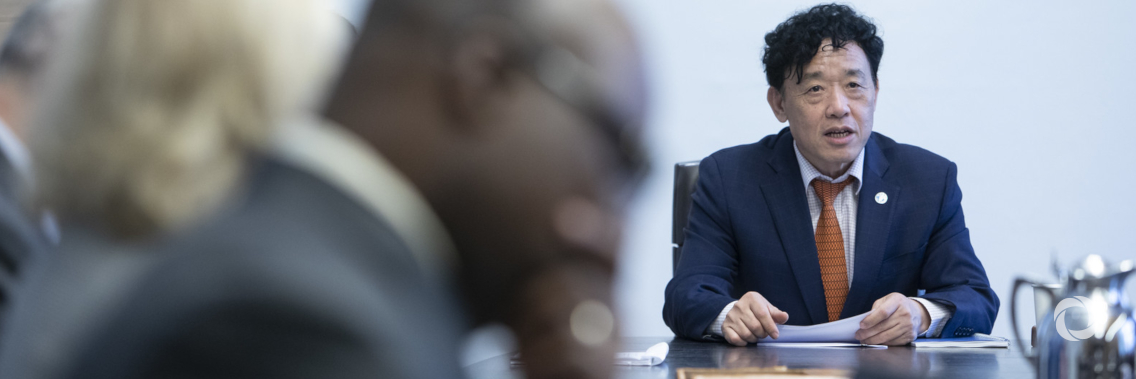 South-South and Triangular Cooperation: a "game changer" for world's most vulnerable, says FAO Director-General South-South and Triangular Cooperation: a "game changer" for world's most vulnerable, says FAO Director-General
