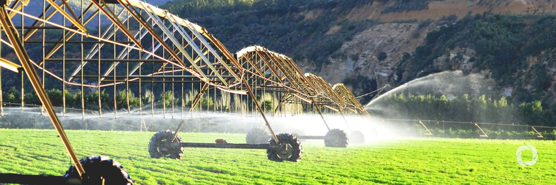 EBRD invests €15 million in Serbia’s agricultural infrastructure EBRD invests €15 million in Serbia’s agricultural infrastructure