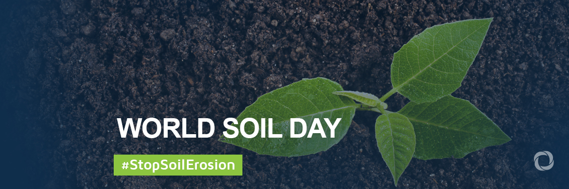 World Soil Day 2019 World Soil Day 2019