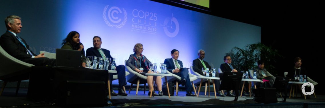At COP25, UN agencies commit to turn the tide on deforestation At COP25, UN agencies commit to turn the tide on deforestation