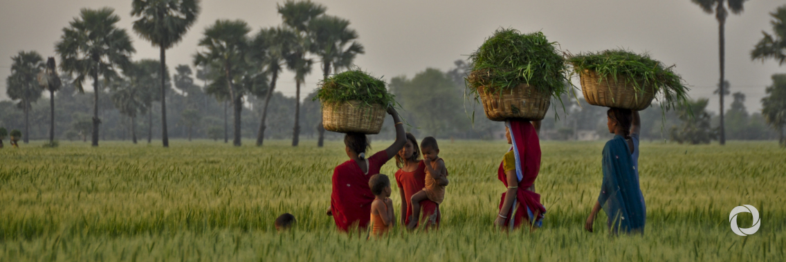 FAO-China South-South Cooperation Programme FAO-China South-South Cooperation Programme