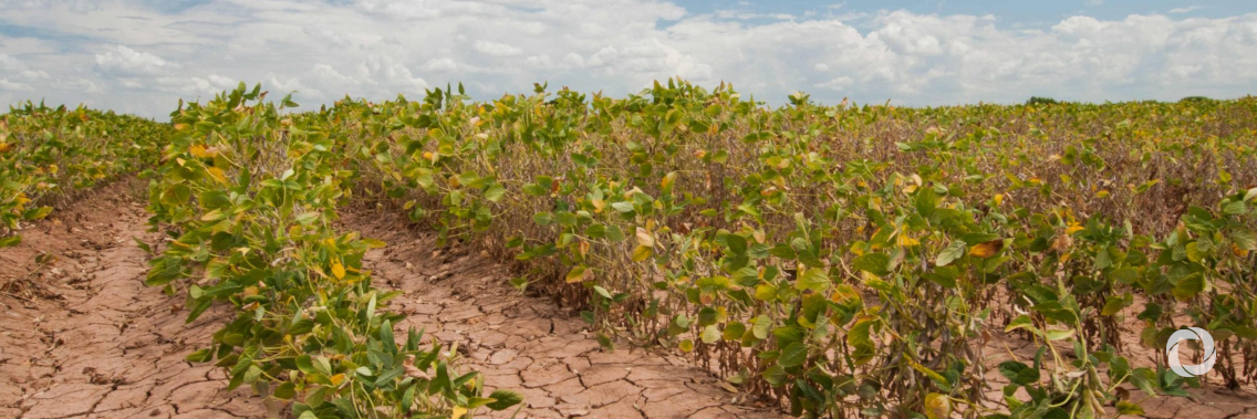The huge potential of agriculture to slow climate change The huge potential of agriculture to slow climate change