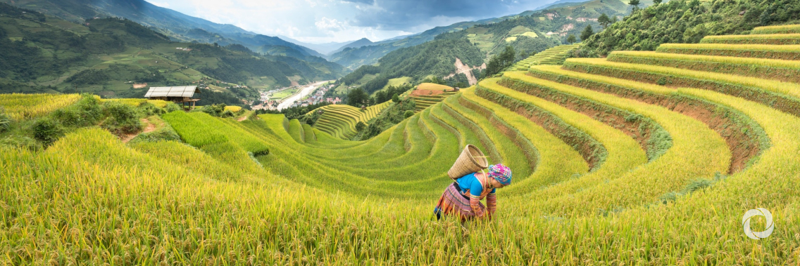 Family farming, biodiversity and climate change - opportunities of the United Nations Decade of Family Farming Family farming, biodiversity and climate change - opportunities of the United Nations Decade of Family Farming