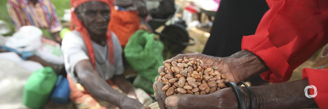 International community must step up support to millions of desperately hungry Zimbabweans International community must step up support to millions of desperately hungry Zimbabweans