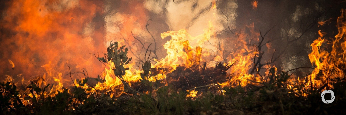 Smart management of wildfires can help curb global heating Smart management of wildfires can help curb global heating