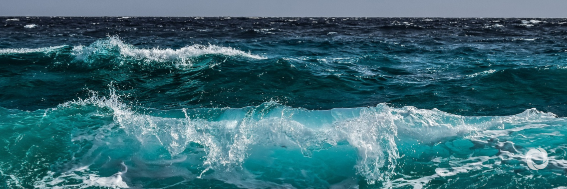 Climate Conference to spur action on the ocean Climate Conference to spur action on the ocean