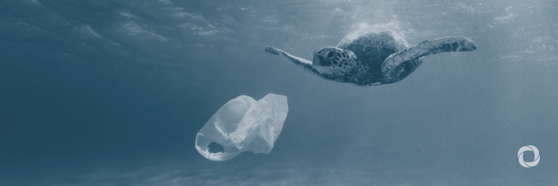 Daiichi Life invests in World Bank bonds to highlight the challenge of plastics in oceans Daiichi Life invests in World Bank bonds to highlight the challenge of plastics in oceans
