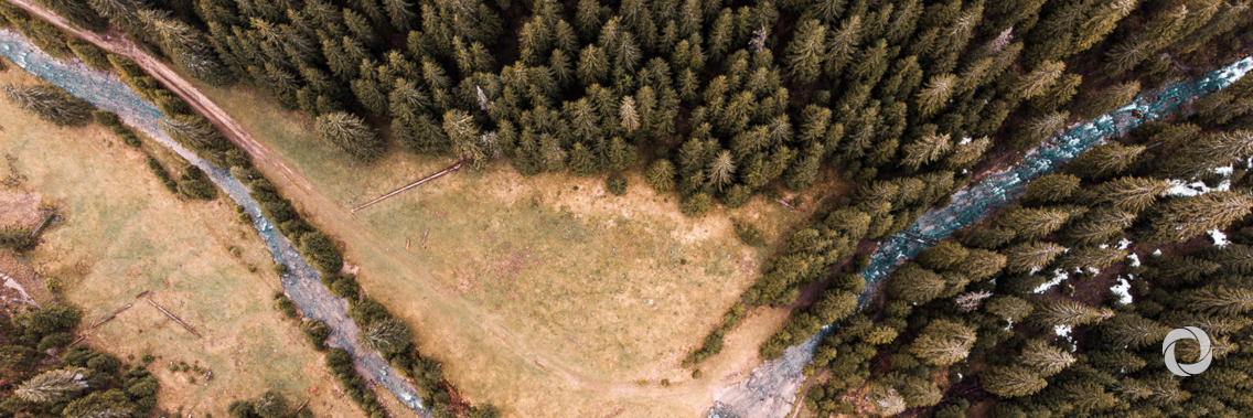 FAO Director-General highlights solutions to deforestation on the margins of COP25 FAO Director-General highlights solutions to deforestation on the margins of COP25