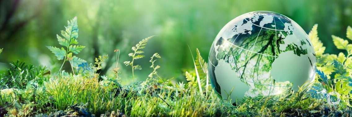 UNEP and Benelux countries continue strong collaboration towards a sustainable planet UNEP and Benelux countries continue strong collaboration towards a sustainable planet