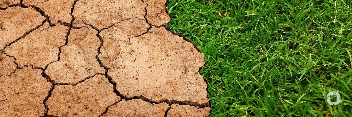 New UNDP–Sweden partnership to strengthen country action on environment and climate change New UNDP–Sweden partnership to strengthen country action on environment and climate change