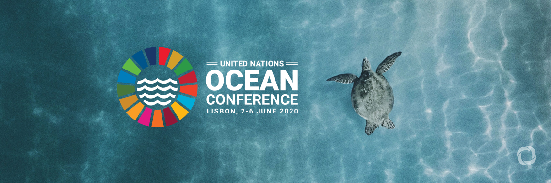 2020 UN Ocean Conference