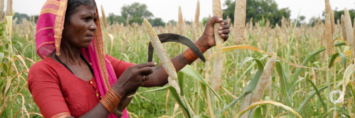 Over 1 million farmer households to benefit from new agri-business project in Maharashtra Over 1 million farmer households to benefit from new agri-business project in Maharashtra