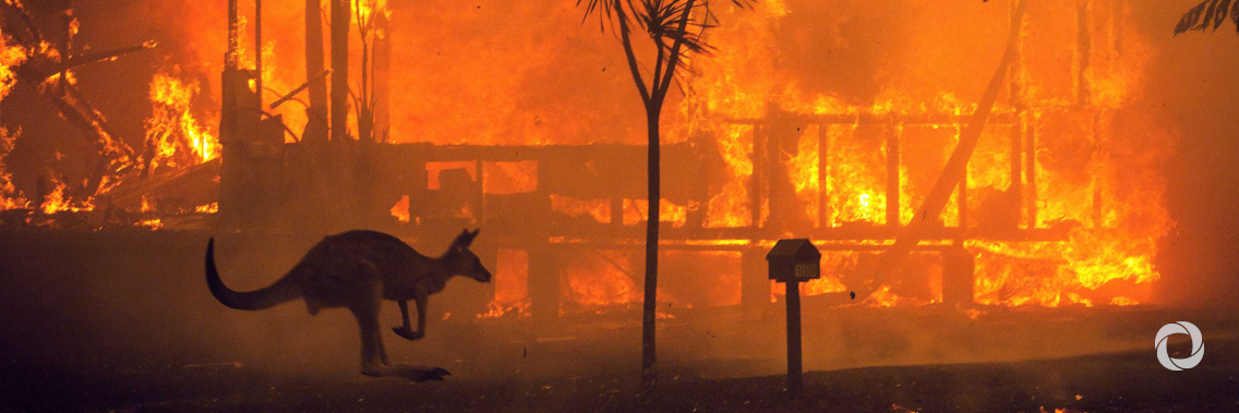 Apocalyptic scenes in Australia as fires turn skies blood red