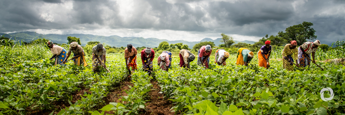 Controlling erosion and land degradation in Madagascar with the help of nuclear techniques