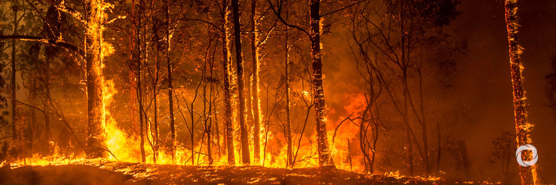 Extreme events are reversing development goals Extreme events are reversing development goals
