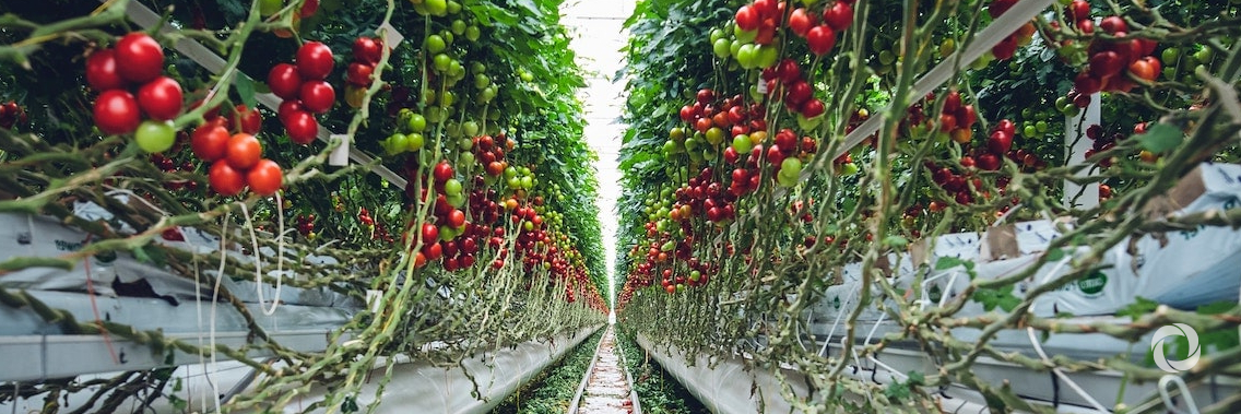 Global leaders unite under the Food Action Alliance to deliver a better future for the people and the planet