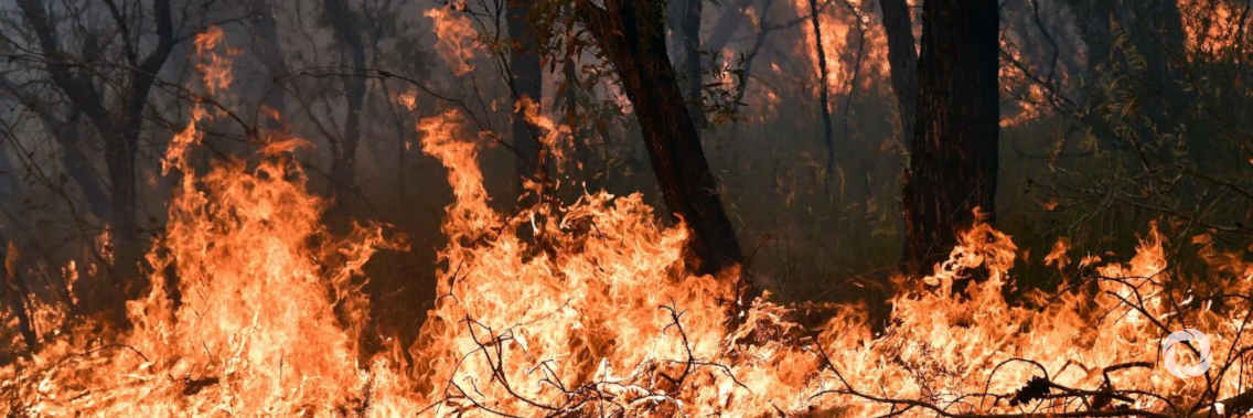 Megafires and climate change - worsening wildfires around the world Megafires and climate change - worsening wildfires around the world