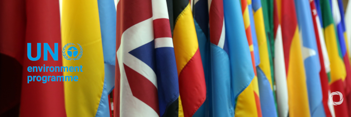Support of 80 Member States vital to UNEP, but more is needed Support of 80 Member States vital to UNEP, but more is needed