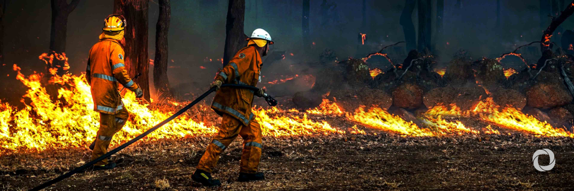 Fijian military support to bushfire emergency response