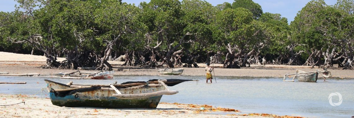 UNEP, IUCN to launch new €20m programme on ecosystem-based adaptation UNEP, IUCN to launch new €20m programme on ecosystem-based adaptation