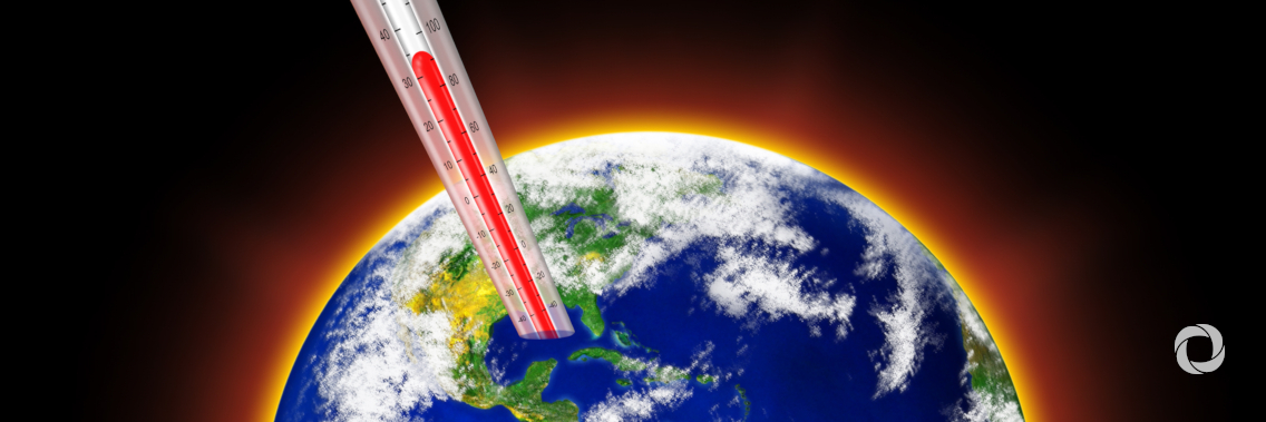 WMO confirms 2019 as second hottest year on record