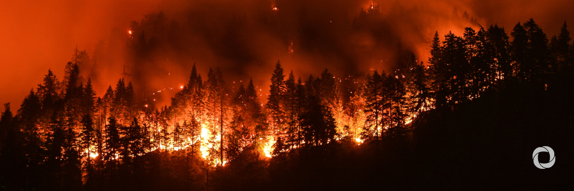 Are “megafires” the new normal? Are “megafires” the new normal?