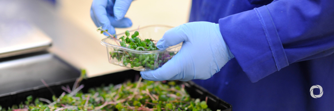 Seven examples of nuclear technology improving food and agriculture