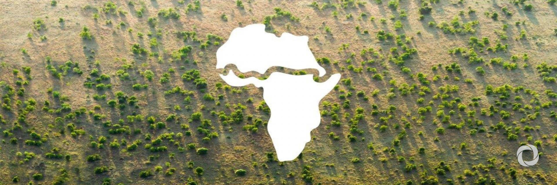 Africa Climate Change Fund (ACCF) grants $4.7m to support projects in African countries Africa Climate Change Fund (ACCF) grants $4.7m to support projects in African countries