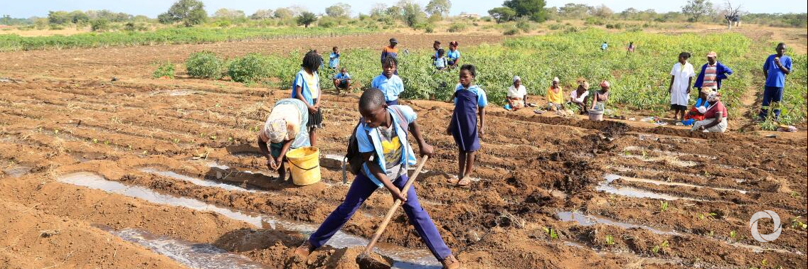 Funds from Sweden to help farmers adapt to climate change Funds from Sweden to help farmers adapt to climate change