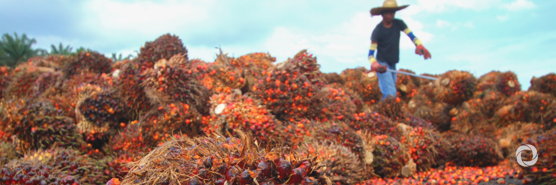 GGGI signed Memorandum of Understanding to enhance collaboration and funding in the sustainable palm oil sector GGGI signed Memorandum of Understanding to enhance collaboration and funding in the sustainable palm oil sector
