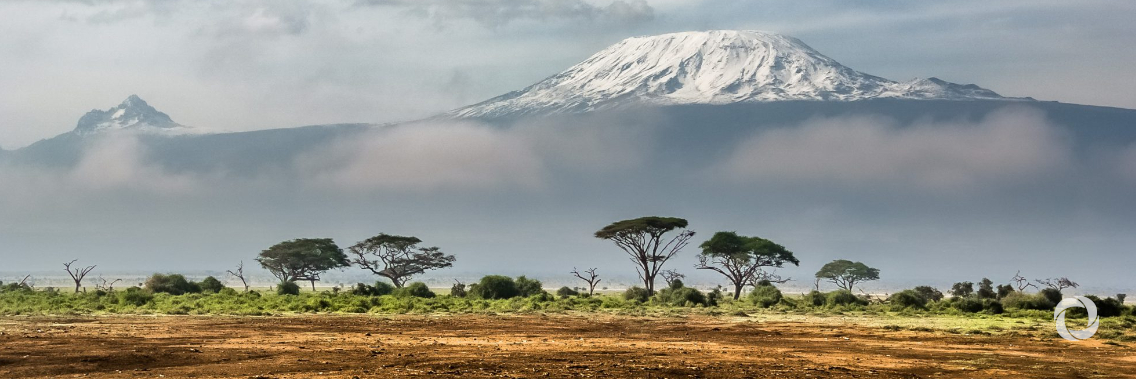 Tourism's role in rural development across Africa highlighted at FITUR 2020 Tourism's role in rural development across Africa highlighted at FITUR 2020