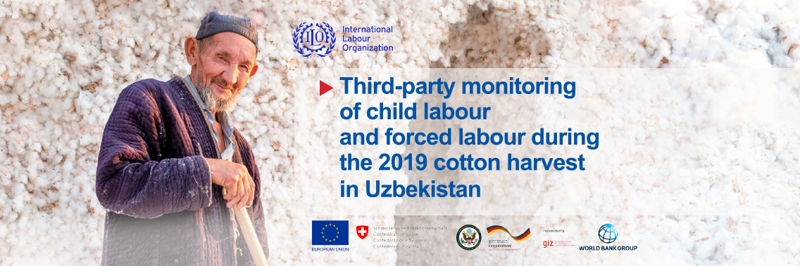 Forced and child labour in Uzbek cotton fields continues to fall Forced and child labour in Uzbek cotton fields continues to fall