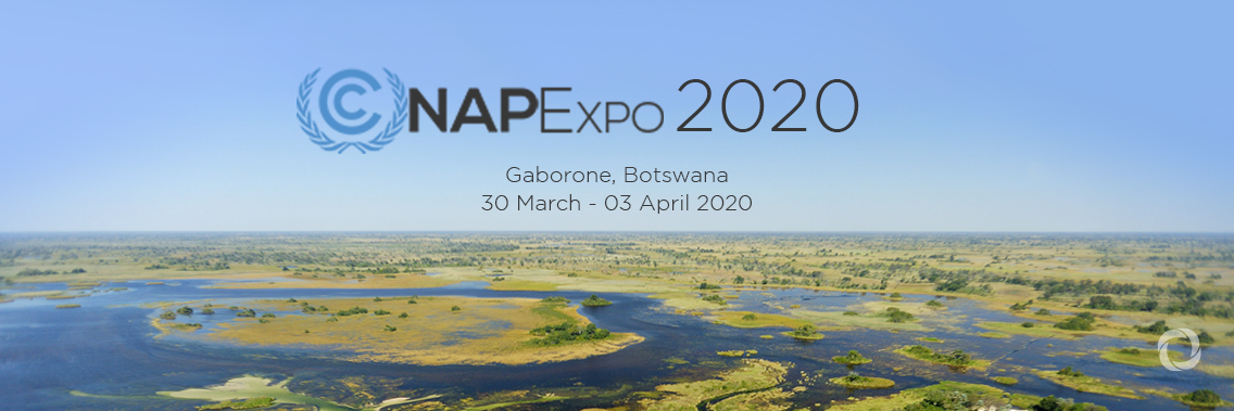 NAP Expo 2020 NAP Expo 2020